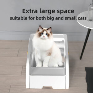 self cleaning cat litter box