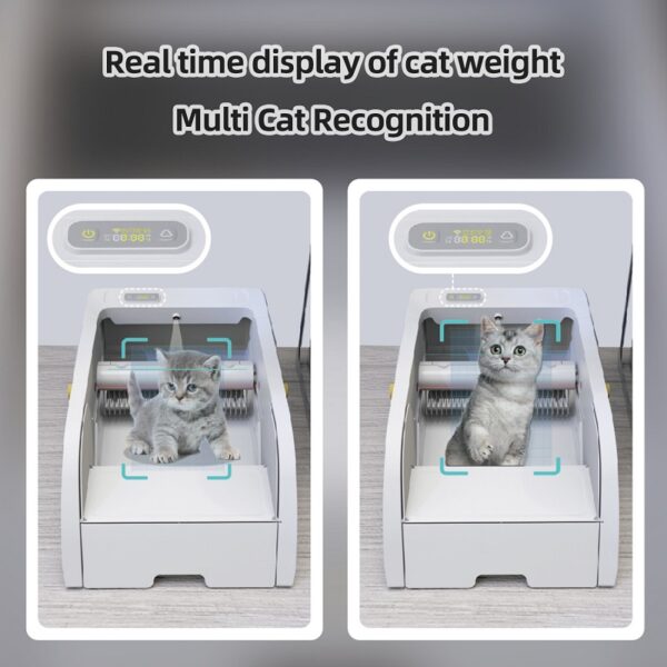 Real time display of cat weight Multi cat recognition