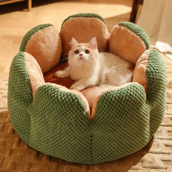 Cactus Petal Shaped Cat Bed