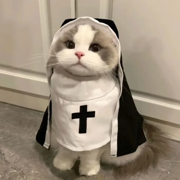 Nun Pet Cat Costumes